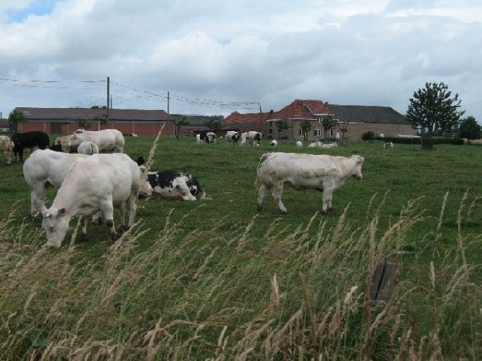 Kopie van Van Kelecom-hoeve Lubbeek (2)