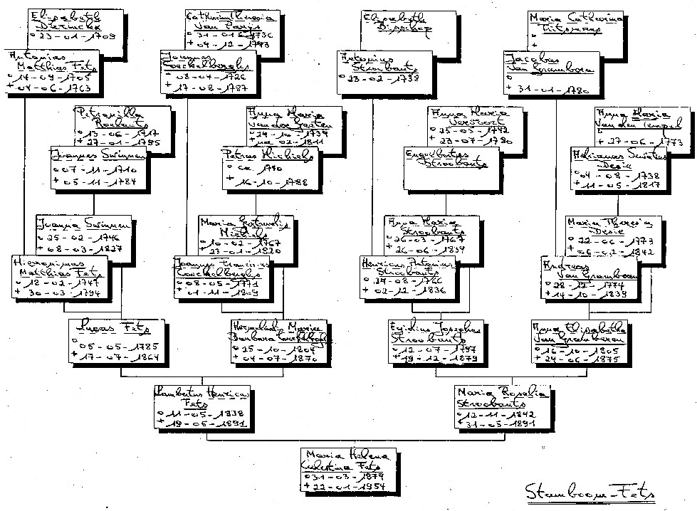 Kopie van Stamboom-Fets (1)