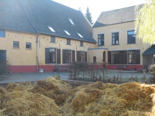 voer sleutelwoorden in