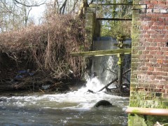 Bijvoordemolen 2013 (5).JPG