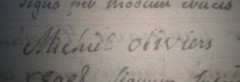Handtekening Michel Oliviers onder doopakte zoon Jacobus Sijlvester, Leuven 1 januari 1779 - kopie.JPG